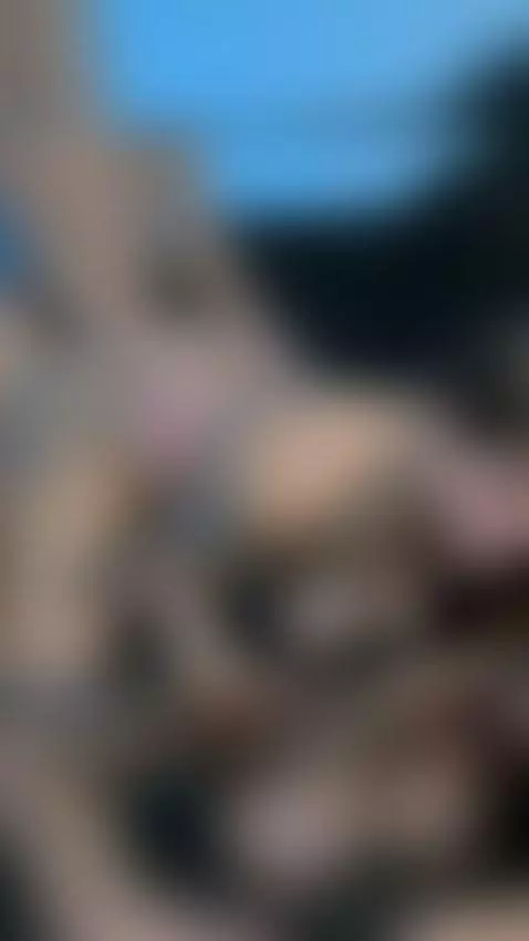 PIERDO APUESTA🫣 by albx09