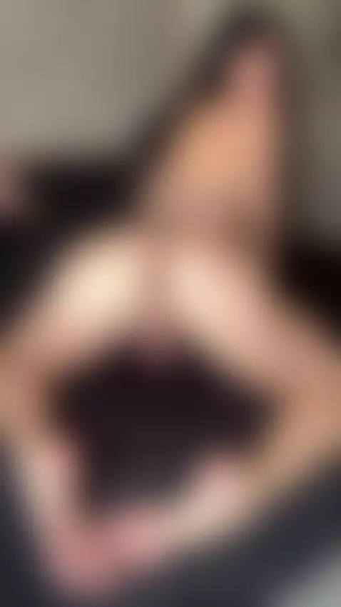 shake shake shake 😏 
enjoy my full clips link in bio 🥵🍆🍑 by gabybelt13