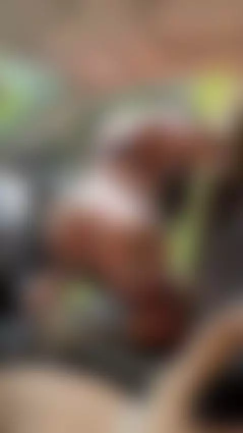 mas de 500 videos largos y gratis en mi OF by sweetsofia12