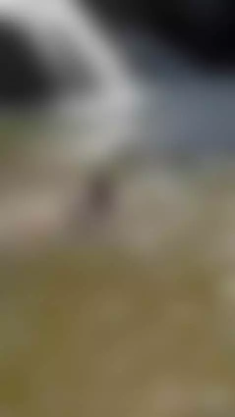 I love these trips to the river. by kirageiner