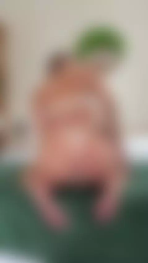 Talk to me privately on OnlyFans 💋 by rianabrooks