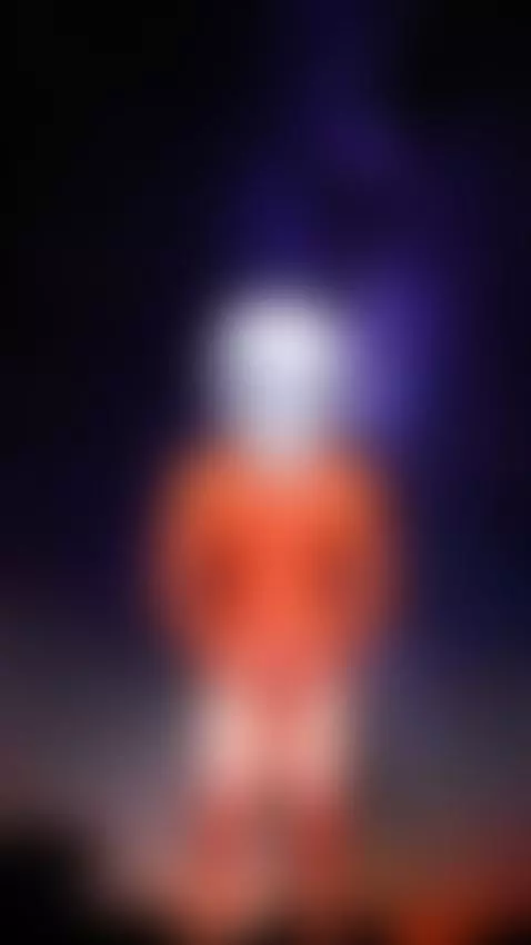 UFO Ab-dick-ution!  🐬🛸 by spacerocketman