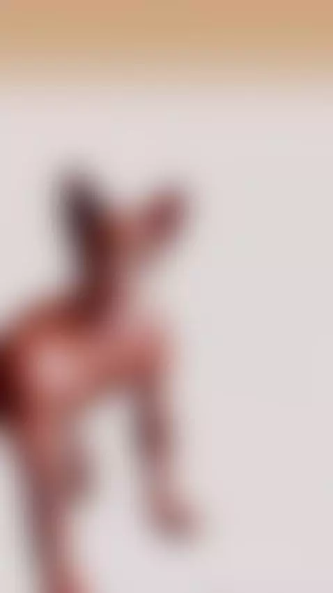 Kitty Cocks!  🐱🙀 by spacerocketman