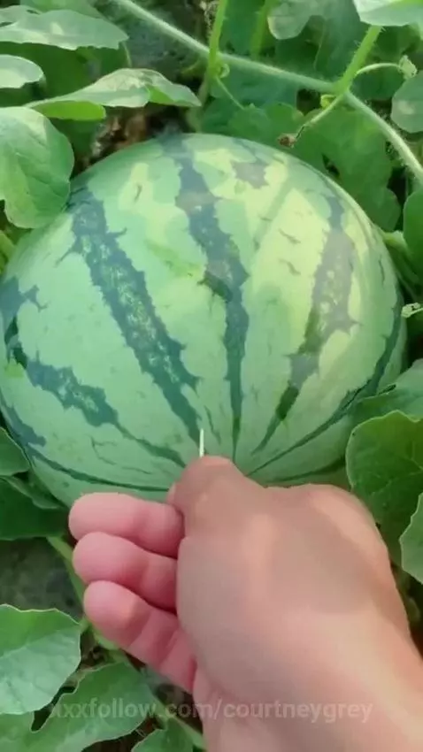 Did you see that? by courtneygrey