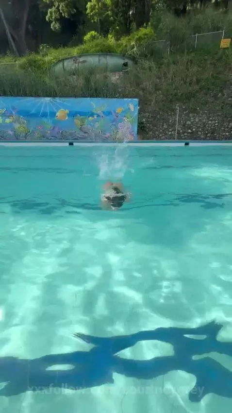 🌞💦👀 by courtneygrey