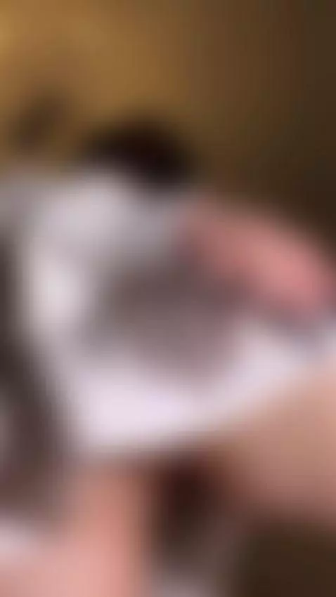 Intimate floral panty tease with my wet pussy on full displa... by marinettevip
