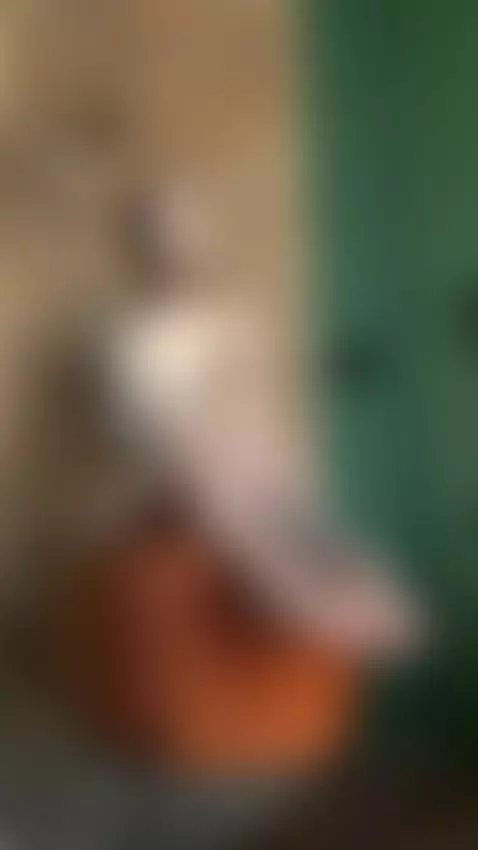 I want to feel your cock slowly entering me by slyykarina