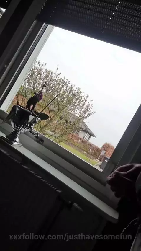 All ways fun at the window by justhavesomefun