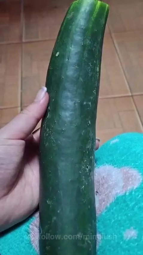 Will this cucumber be very big? by mimilush