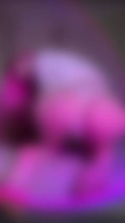 Don’t scroll past — follow 🔥 by miablooom