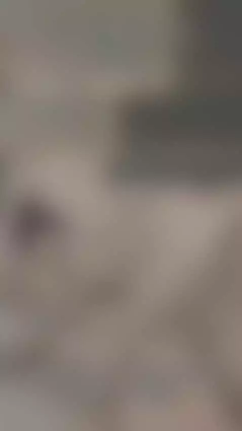 Sorprendida quede con mi amigo 🙈🙈 by aliciatrecee