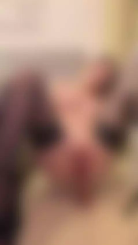 needysluts, xsmallgirls, dadwouldbeproud by lilly-blossom-love