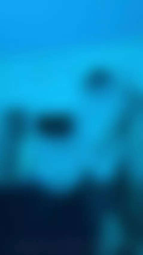 fuck, fuckpussy, fucking by lilly-blossom-love