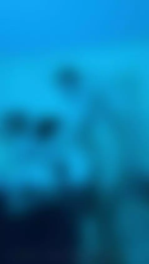 fuck, fuckpussy, fucking by lilly-blossom-love