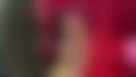 I can change it by alana-silva