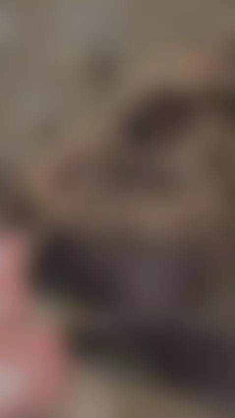 Como nos reparte el repartidor 🔥🔥🔥 by veritoaguas