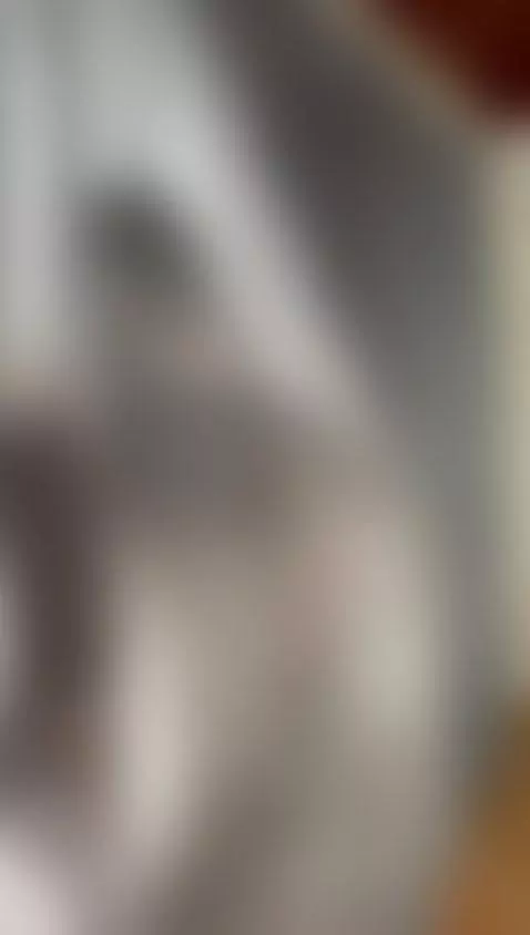 New model skinny, Don't forget to follow me now!  🔥 by anavoss