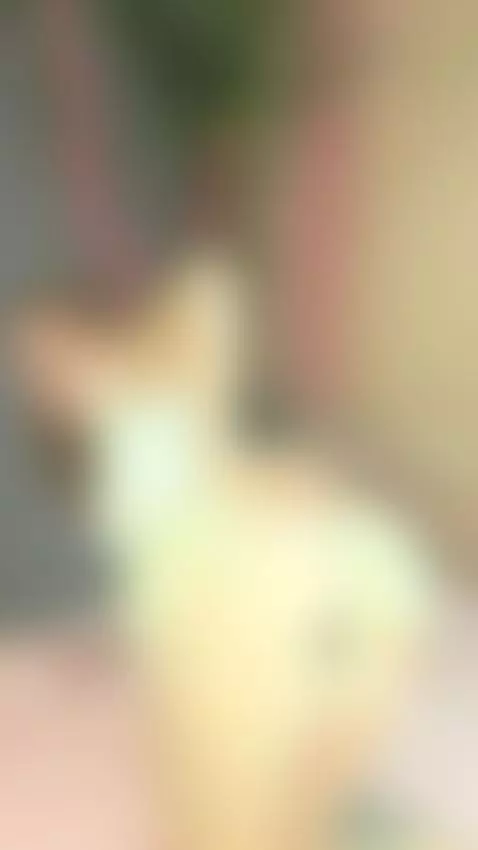 18+ Redhead teases juicy ass in skirt lift. by ravelilyxo