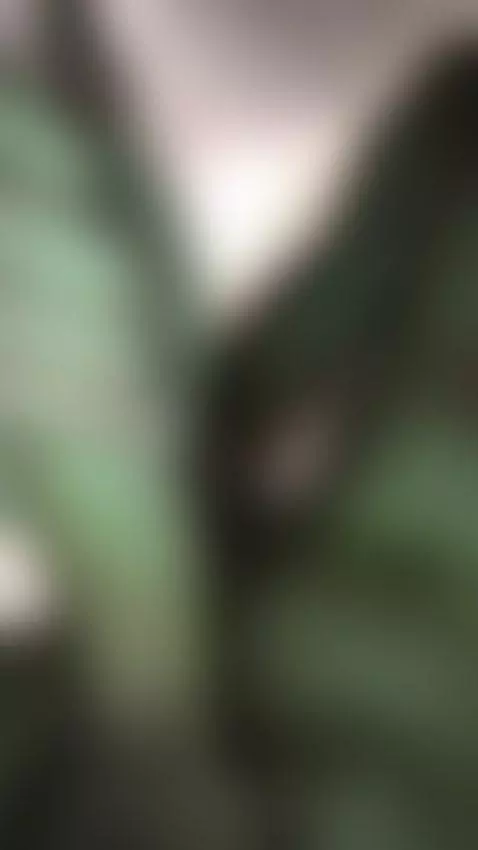 🥵hot guy jerking off in shower dreaming about your pussy😍😋 by kingshtm