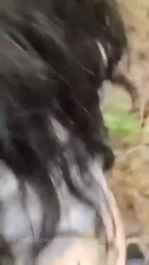 Outdoor fun by tonguetornado1