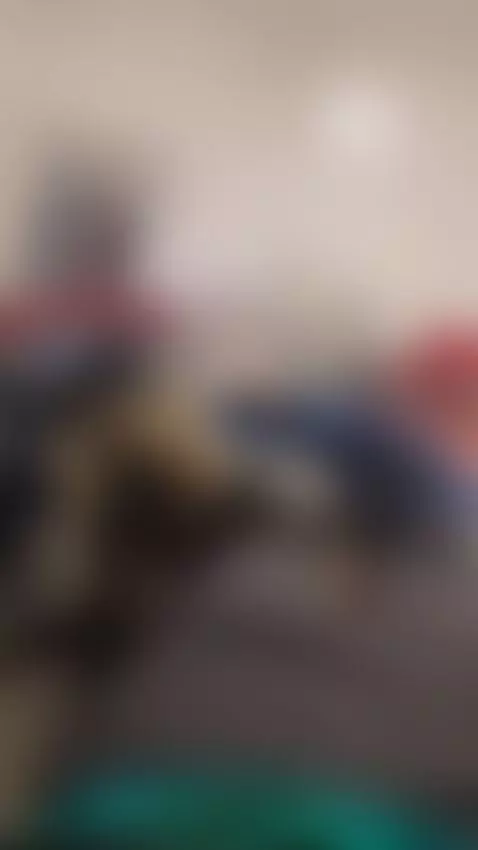 cock sleeping by minkliy