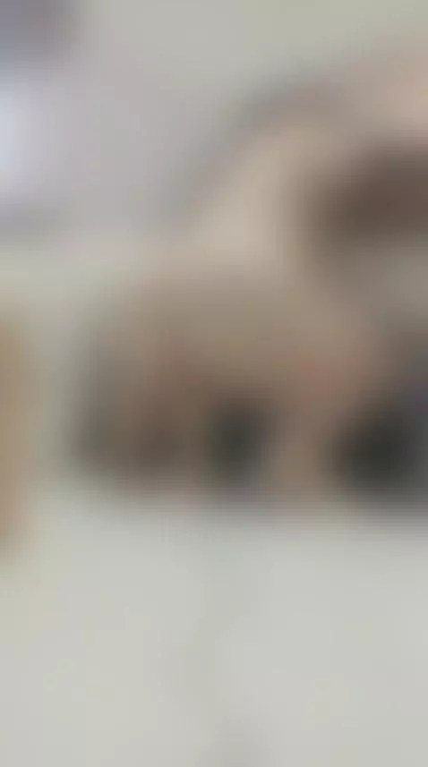 bouncing my giant ass on your hard cock by pamelabonnet