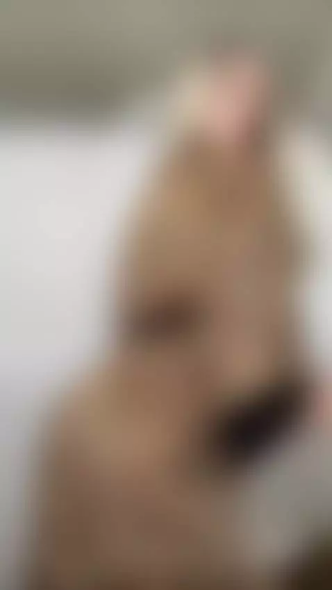 Hot content? Yes. Exclusive? Only on OnlyFans 🔥 by goddessivanna