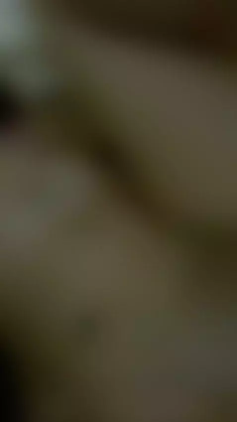 Pandora is here / follow me on ig its.paulasuarezz by itspandoraa