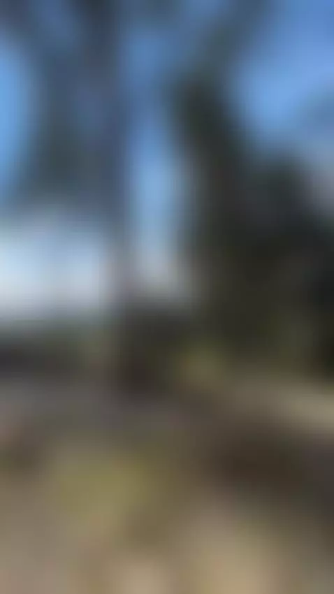 Too late to put my breasts in the air by emma-soull