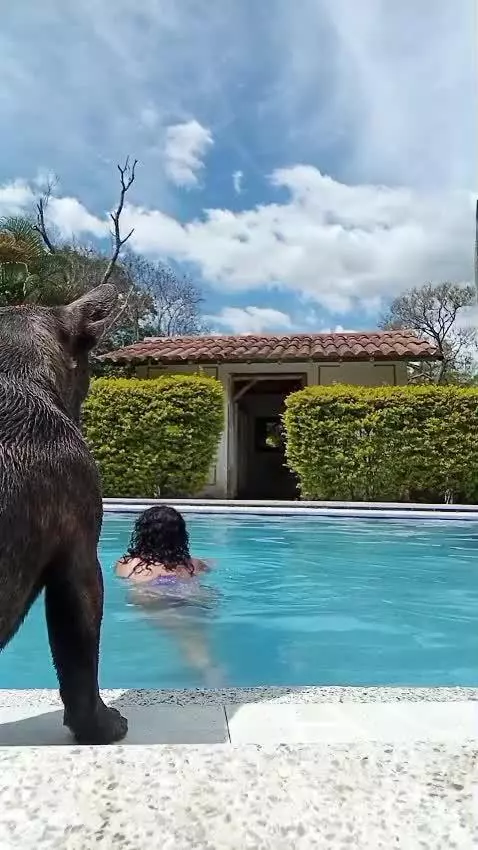 asiansgonewild, girlsinyogapants, pussy by violetkink