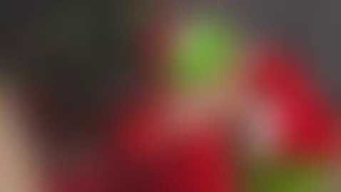 Even the Grinch couldn´t resist this Christmas 🎄🔥 by pop-doll