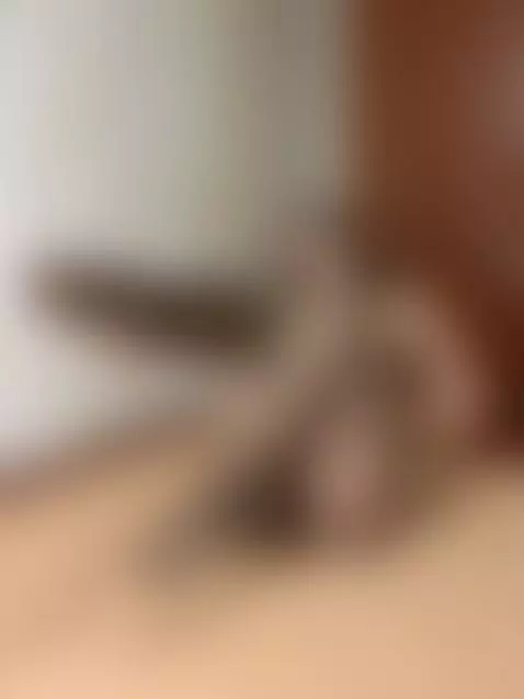 Double penetration or I’ll cry 🍆🖐️😢👉🍑 by justcutiecindyy