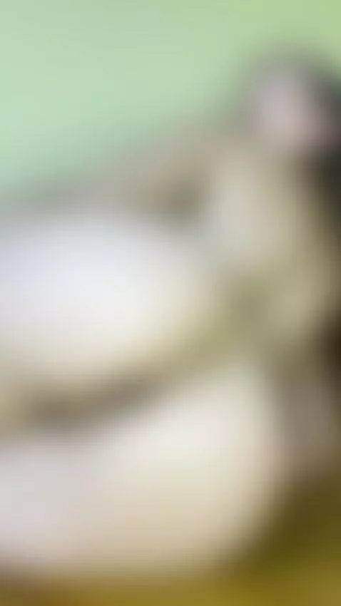 Come take a look at what I’ve been sharing on OF 😘
https://o... by justcutiecindyy
