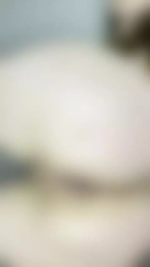 BBY^Only getting started… OF💋
https://onlyfans.com/cutiecind... by justcutiecindyy