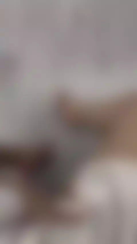 It's better to watch my moves in full.
The full version is o... by rorryree