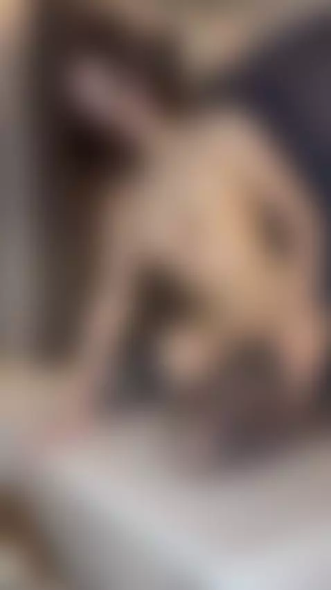 This post is the beginning of a chain. The end is OnlyFans. by whitekristy