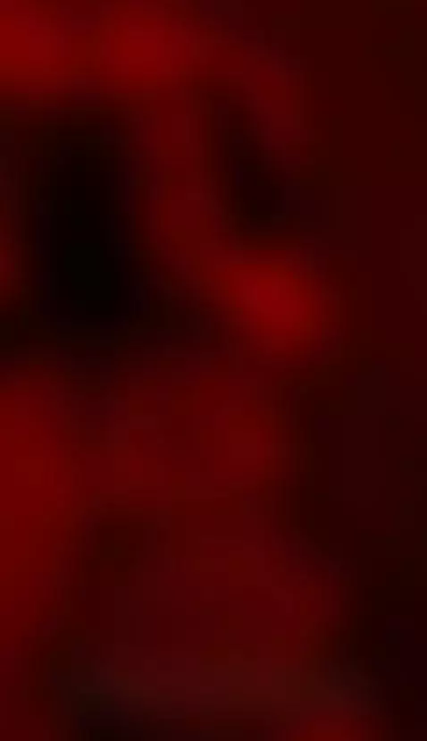 quieres ver mas . . . . https://fansly.com/foxxylovein4 by foxxylove69