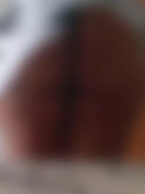 surpresa by casalsaodaporra