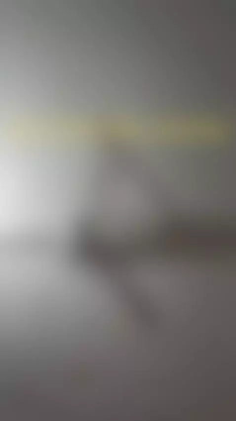 bro pls follow me by alkova