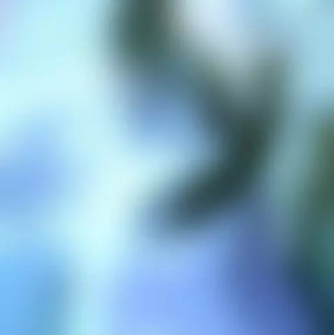 Video by charlierahme