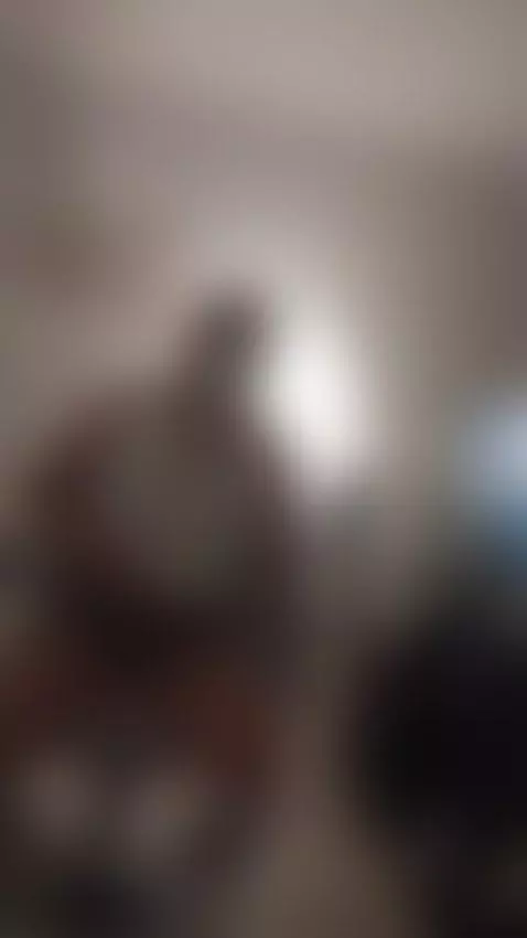 lets go fun ! by liaa-moretti