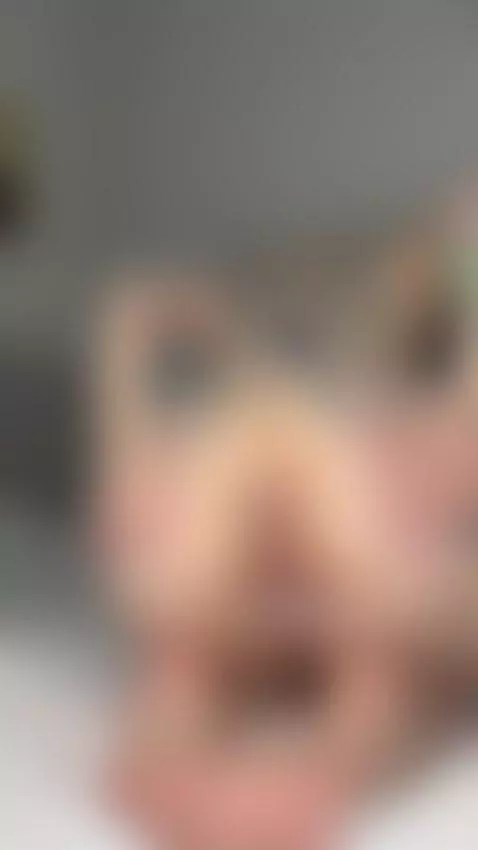 Let’s chat one-on-one, no censorship 💬 OnlyFans by darklilli