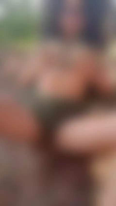 I got fever in the forest by alexagrills