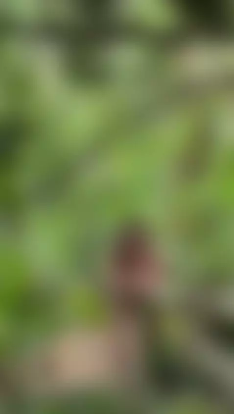 I'm naked in the middle of the patio, my neighbors can see m... by miia-anderson