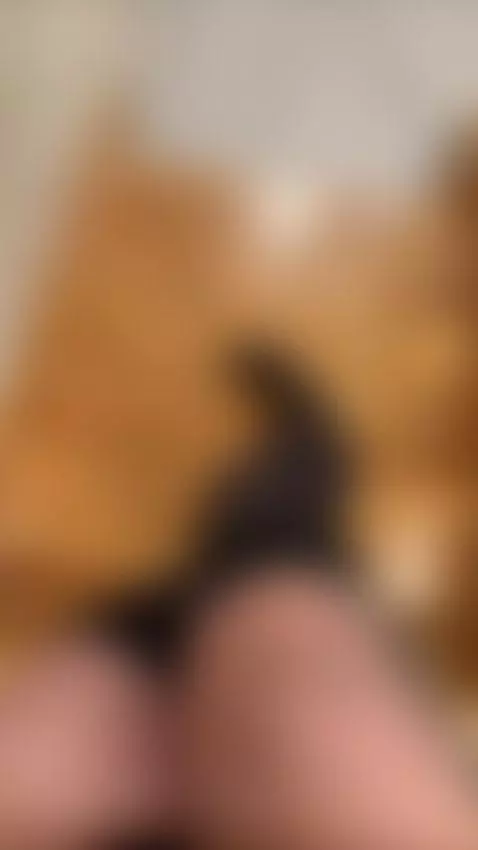 No panties, fingers deep… Subscribe right this second! 😈 by nikkyydandelion