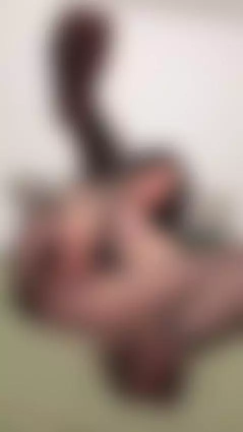 Tattooed thighs spread wide, fingers playing slow 🤫 by nikkyydandelion