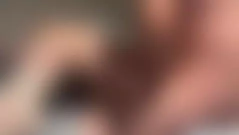 comment prendre une chienne en chaleur ? by carsickpram