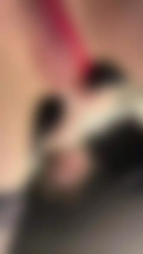 can i sit on your face? by magylolli