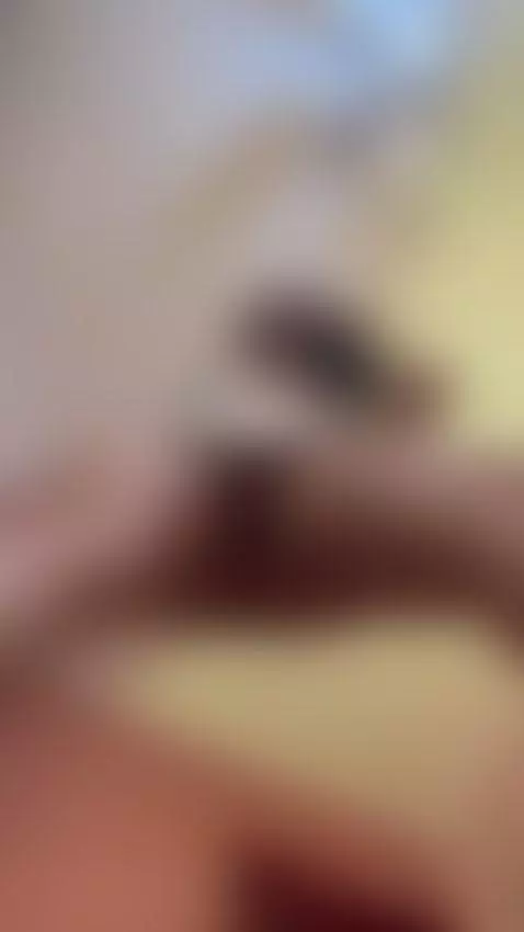 pussy latina hot baby by amaraxabel
