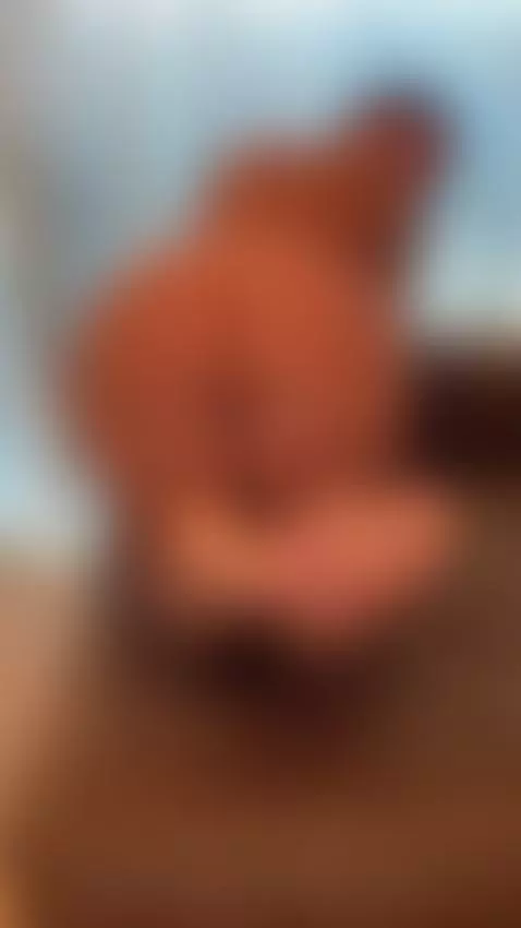 My ass wants to be explored by milamilflove